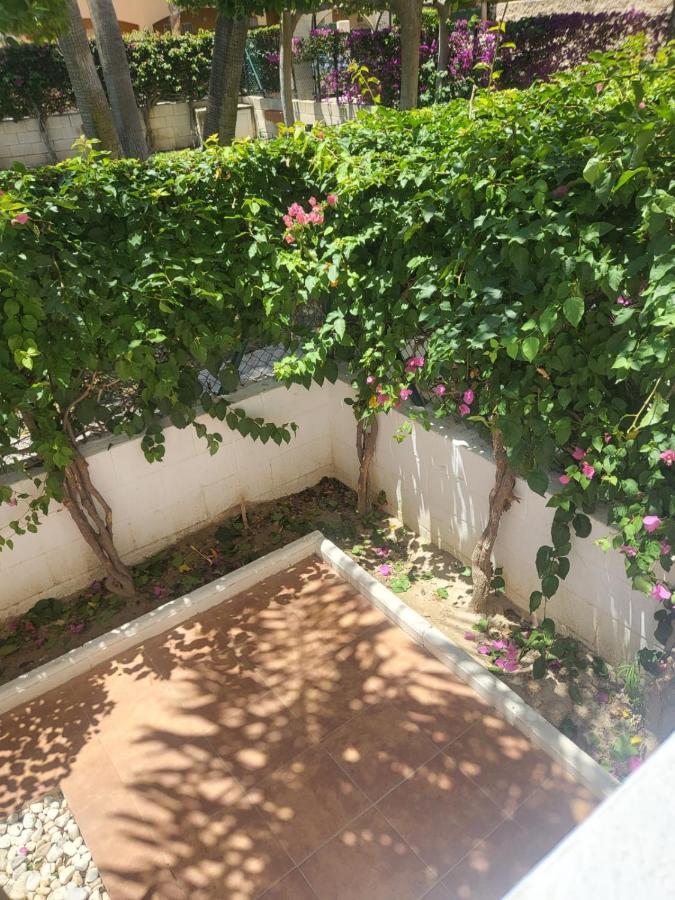 ¡Bajo Precioso Con Salida Directa A La Piscina Comunitaria En Paraiso De Vera! 外观 照片